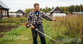 Хватит тратить деньги на леску для триммера: один простой апгрейд позволит косить траву в разы быстрее