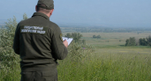 Скот пасли в охраняемых балках: хозяйство оштрафовали на 15 тысяч