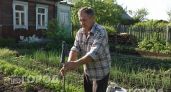 Больше никаких укусов на даче: простой трюк с носком на палке избавит от комаров и мошек за секунды