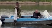 На Дону разрешили ловить раков и использовать блёсны на отдельных участках