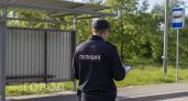 Целую плантацию подсудных растений нашли в ростовской усадьбе