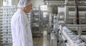 В Мясниковском районе аннулировали ветсертификат на молочную продукцию из за нарушений