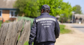 В Куйбышевском районе ввели карантин по бешенству после случая у домашней собаки