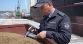 Из Ростовской области в Турцию отправили 2,9 тыс. тонн шрота после проверки
