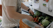 Забыла про выброшенные овощи благодаря копеечной аптечной хитрости: теперь продукты хранятся неделями