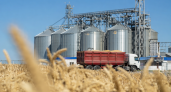 Экспорт масложировой продукции из Ростовской области сократился на фоне задержек судов