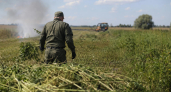 В Ростовской области уничтожили 28 тонн дикой конопли на площади 9,6 гектара