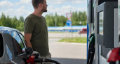 В Ростовской области ввели лимит до 30 литров бензина на легковой автомобиль