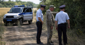 После нападений на скот пуму в Цимлянском районе ищут егеря, полиция и охотники