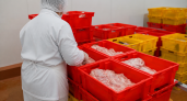 В Ростовской области оформили 52 тонны мяса птицы на экспорт в Китай