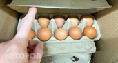 Вы совершаете опасную ошибку на кухне: эксперты объяснили, нужно ли на самом деле мыть куриные яйца перед едой