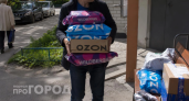 Выбросьте это из корзины: три товара с Wildberries, которые принесут вам только разочарование и лишние траты