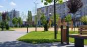 В центре Ростова к середине сентября откроют сквер «Кленовый дворик»