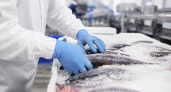 На Дону отгрузка продукции рыбоводства снизилась в 2,6 раза