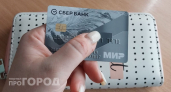 Владельцам карт Мир нужно срочно проверить личный кабинет на Госуслугах до осени ради новых выплат и льгот