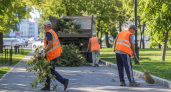 В Ростове-на-Дону на субботнике после урагана убрали более 150 деревьев