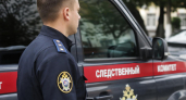 Бастрыкин запросил доклад по делу об убийстве 14-летней девочки под Ростовом