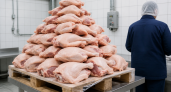 Из Ростовской области в Китай отправили 27 тонн проверенного мяса птицы