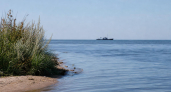 В Таганрогском заливе прекратился замор рыбы после охлаждения воды