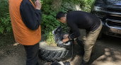 В Ростовской области за лето пропали 363 человека, часть поисков продолжается