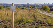 В Ростовской области продают участки от 170 тысяч рублей