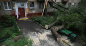 Во время субботника в Ростове вывезли 140 тонн отходов