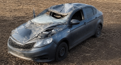 В Миллеровском районе Kia Rio сбила лося, водитель и пассажир в больнице