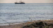 Солёность Таганрогского залива достигла максимума за 150 лет, но к 2050 году снизится