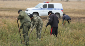 В Ростовской области уничтожили 153 очага дикой конопли на 14 тыс. кв. м