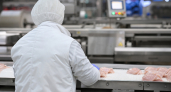В продукции ростовского производителя выявили сальмонеллу и начали изымать ее из оборота