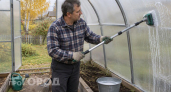 Фитофтора не вернется весной: пять обязательных дел в теплице до заморозков для идеального здоровья почвы