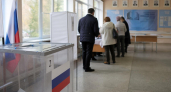 Жители Дона за 30 лет участвовали в 25 избирательных кампаниях