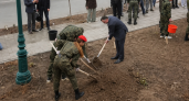 В Ростовской области в День древонасаждения высадят более 25 тысяч деревьев