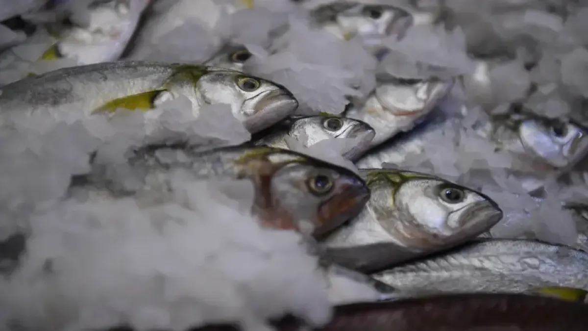 Сливочное масло за 1088 рублей: новые цены в Ростовской области