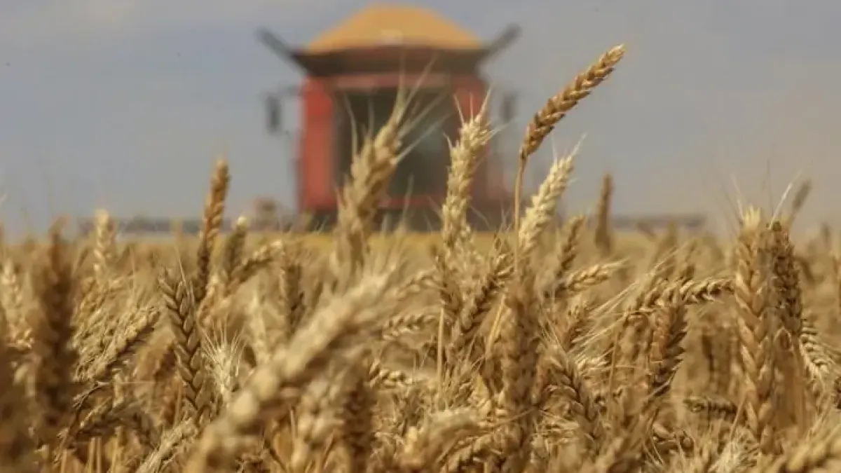 «Родные поля» требуют вернуть 24 млрд с экс-владельца через суд