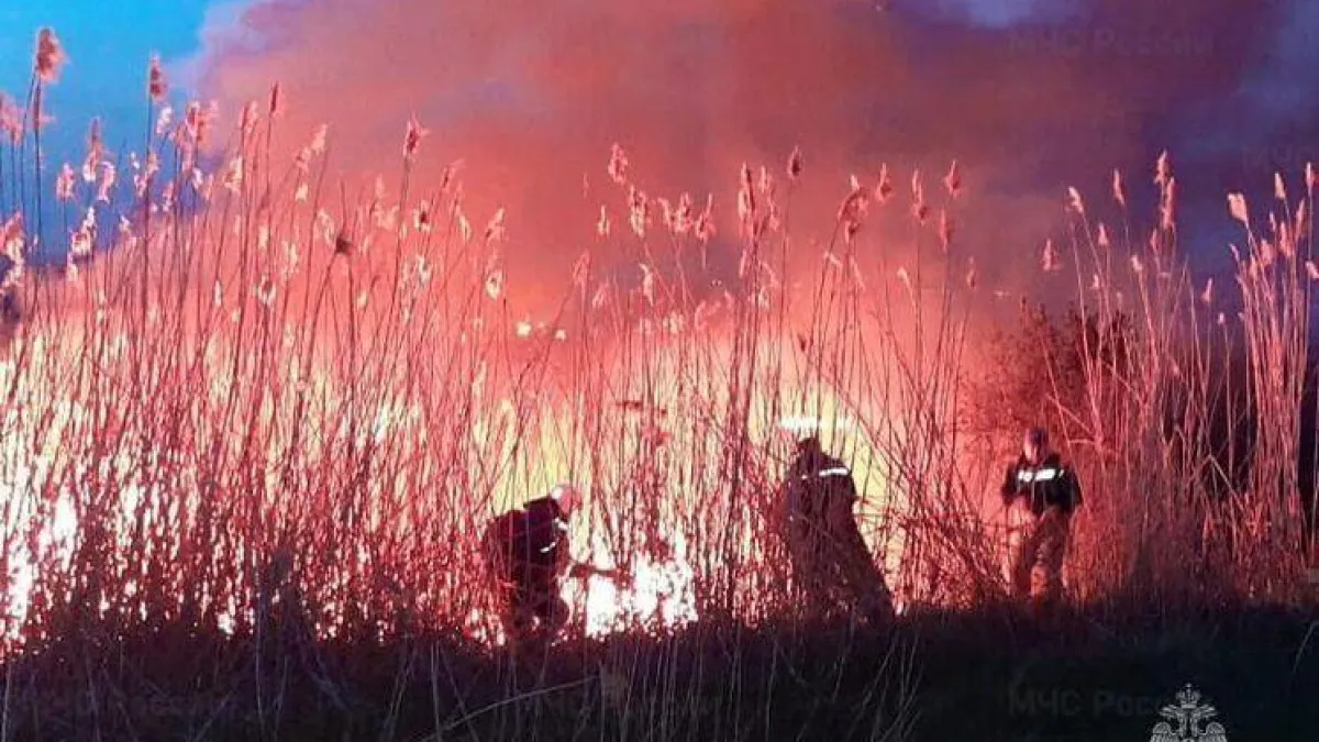 32 пожара за год: Ростовская область готовится к огненному апрелю