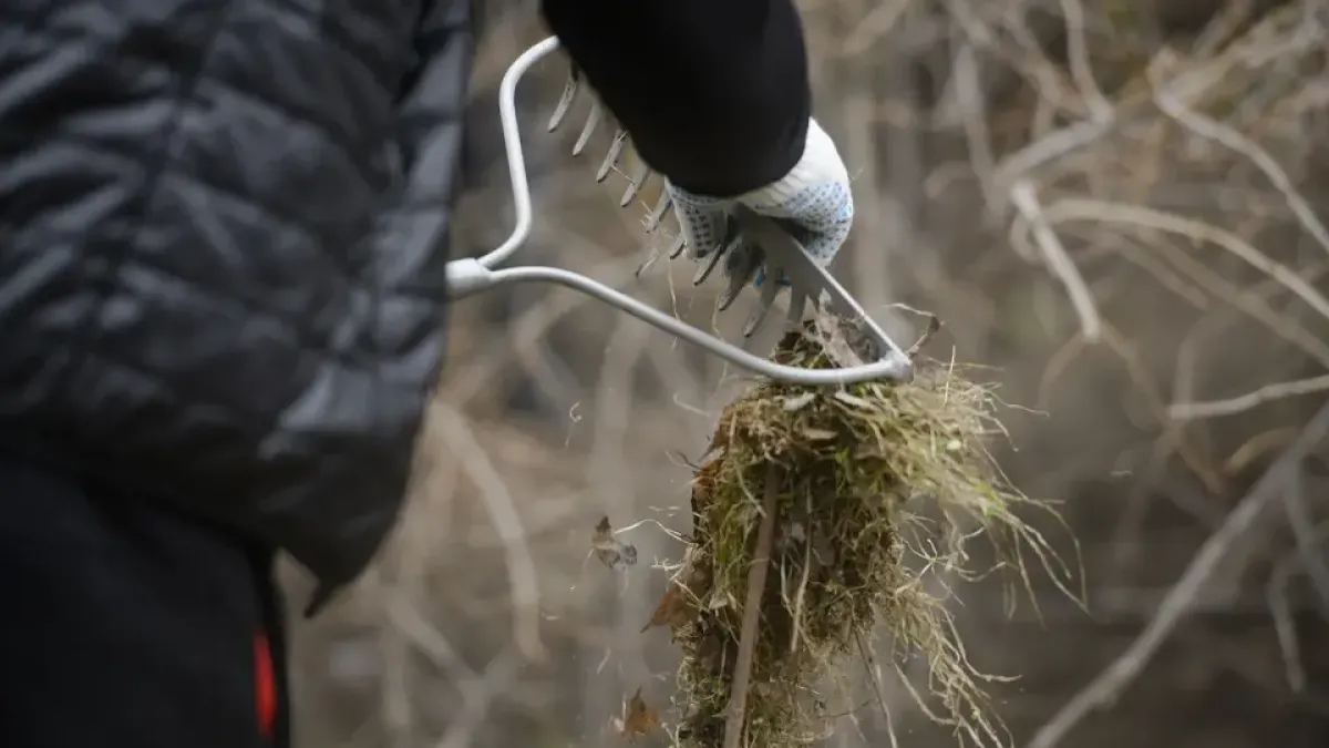 Ростов готовится к масштабной генеральной уборке с «трудовым десантом»