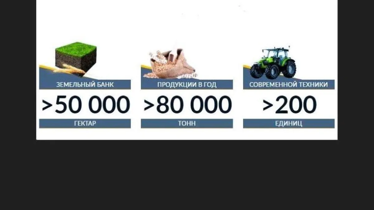 Государство добралось до активов бывшего владельца «Родных полей»