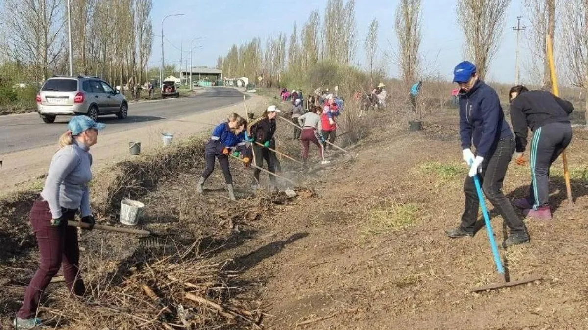 На Дону стартует месячник чистоты с усиленными проверками