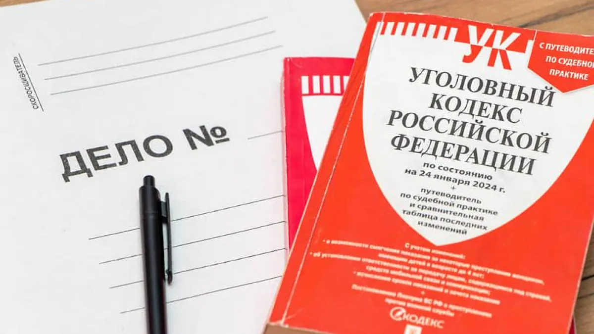 Бастрыкин требует пересмотреть дело о женщине, выпавшей из микроавтобуса