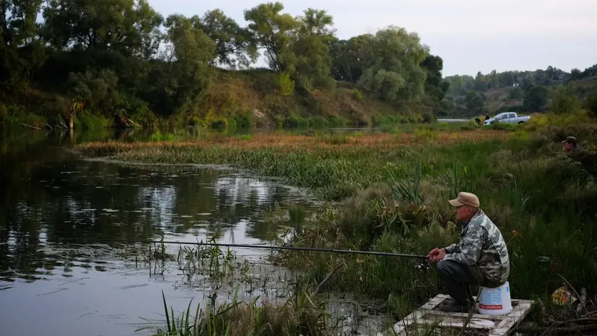 Полтора месяца без судака и тарани: весенний запрет накрыл Ростовскую область