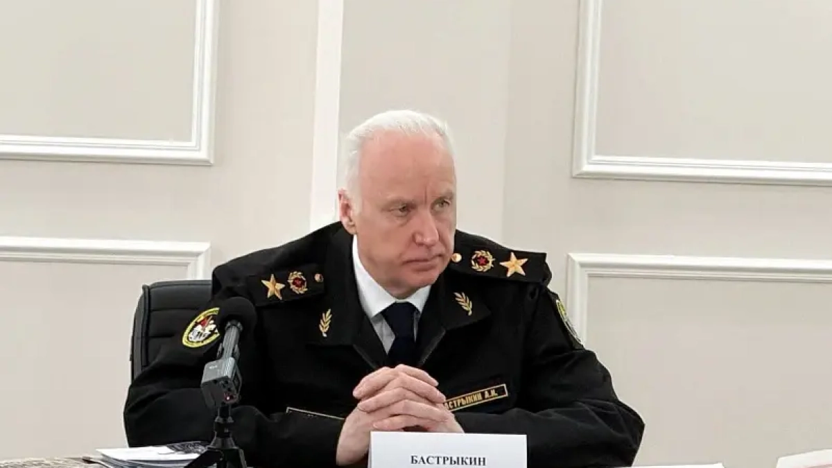 Стая собак напала на ребенка в Таганроге: Бастрыкин требует объяснений