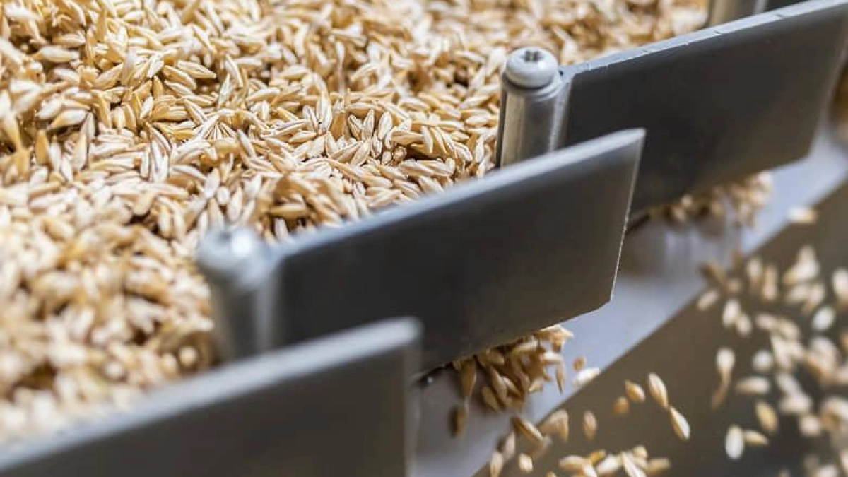 Ростовская область потеряла 4 млрд рублей из-за засухи и заморозков