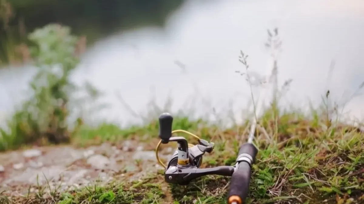 Рыбак из Ростовской области создал карту 15 мест для ловли без штрафов