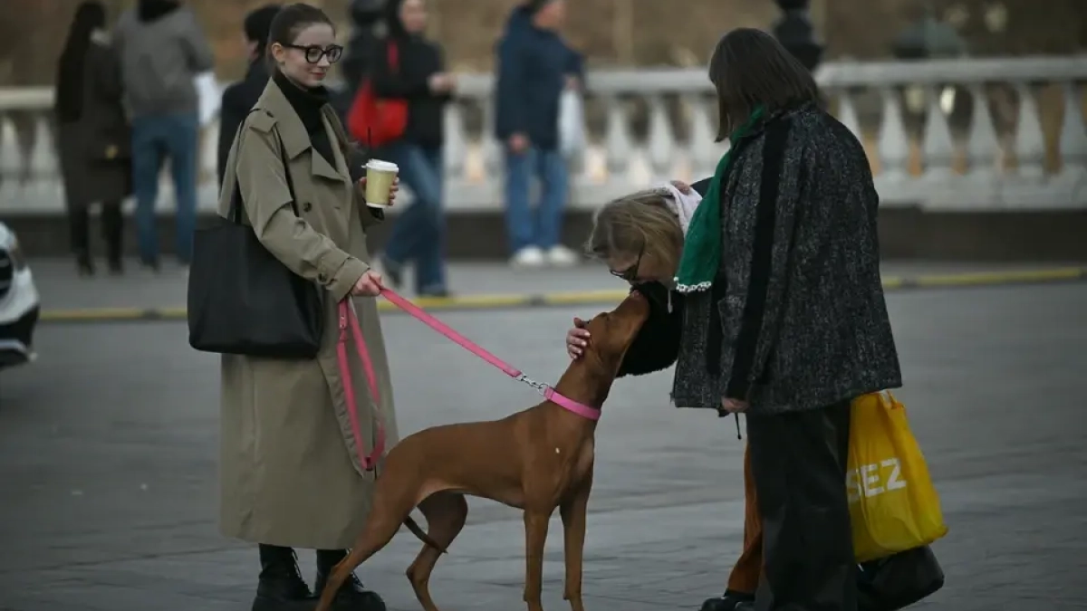 До +15 днём, но с заморозками ночью: погода в Ростовской области 21–22 марта