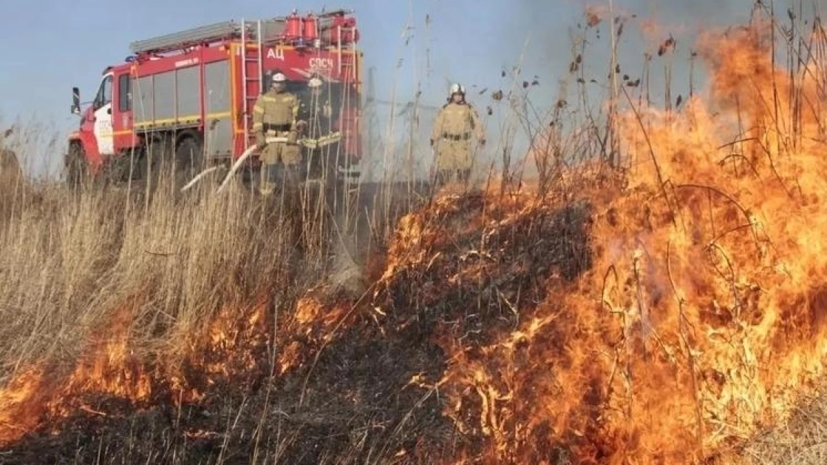 МЧС проведёт 38 плановых выжиганий травы в 14 районах Ростовской области