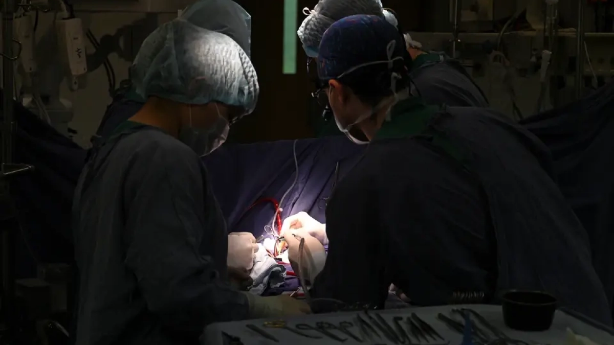 Ювелирная операция в Ростове: мальчику сохранили лёгкое при полном разрыве бронха