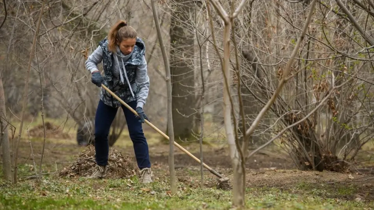 «Дон помнит»: тысячи жителей приведут в порядок 2000 мемориалов к юбилею Победы