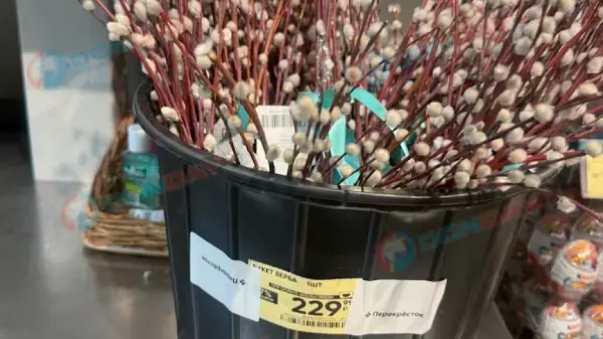 Верба к Пасхе подорожала на 30%: в Ростове букет стоит 230 рублей