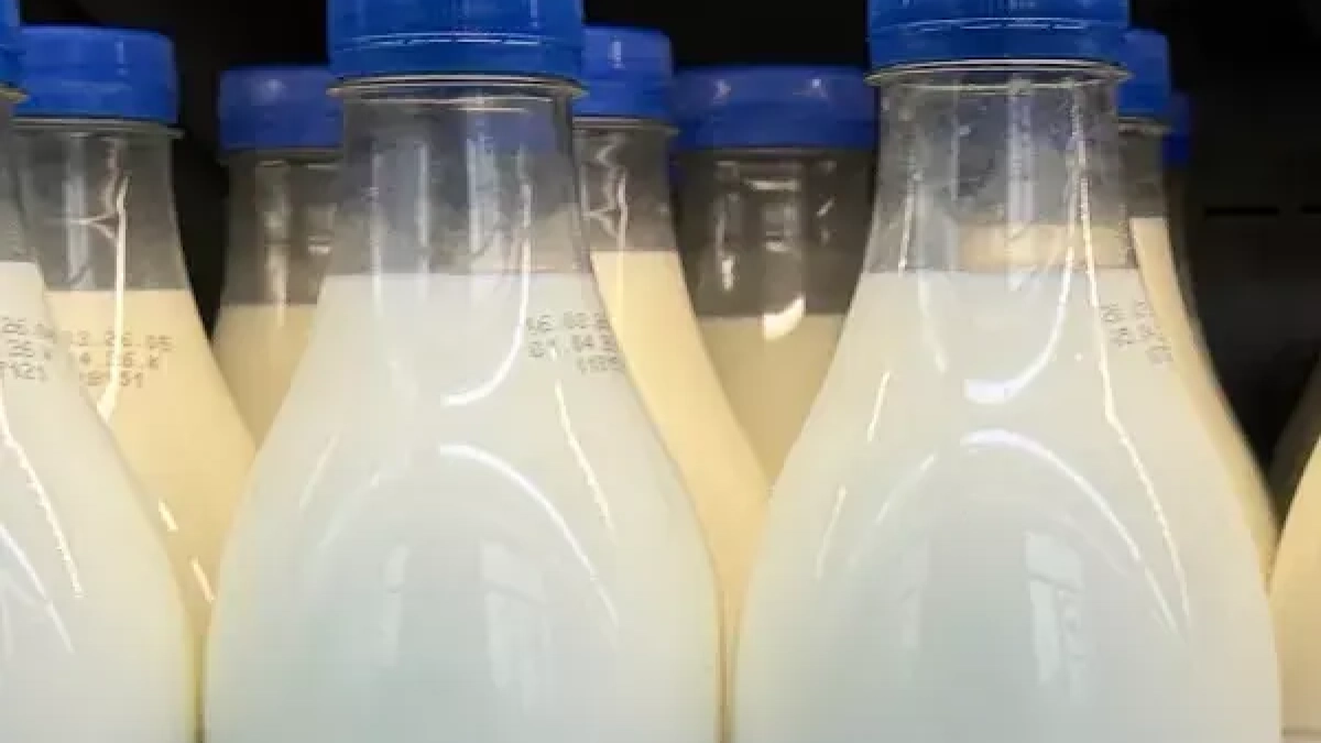 Пасхальный кулич подорожал: масло и яйца потянули цену вверх